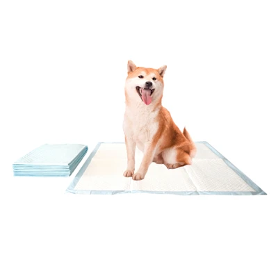 Tianjin Yiyi Silver Ion Antibacterial Pet Potty Pad